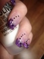 /album/fotogallerij/purple-jpg/